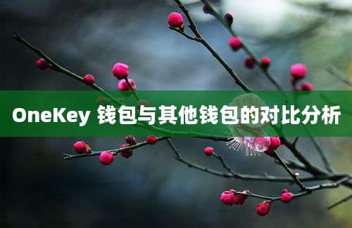 OneKey 钱包与其他钱包的对比分析