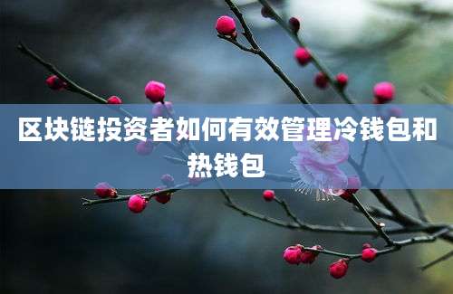 区块链投资者如何有效管理冷钱包和热钱包