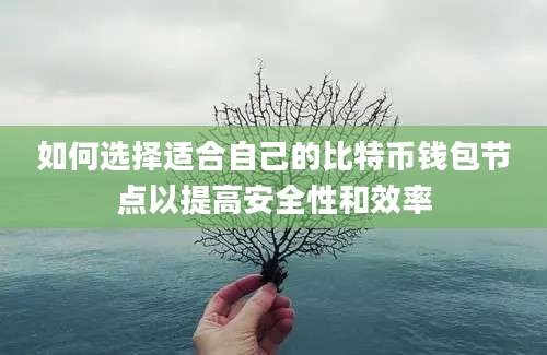 如何选择适合自己的比特币钱包节点以提高安全性和效率