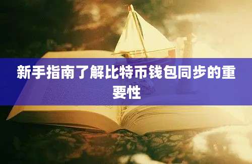 新手指南了解比特币钱包同步的重要性