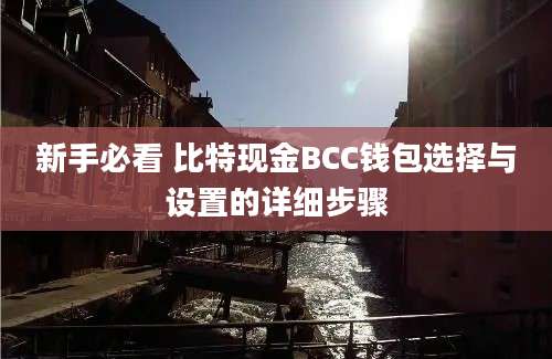 新手必看 比特现金BCC钱包选择与设置的详细步骤