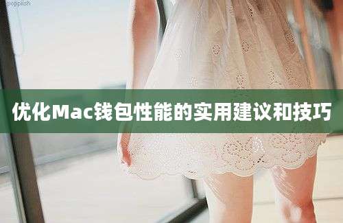 优化Mac钱包性能的实用建议和技巧