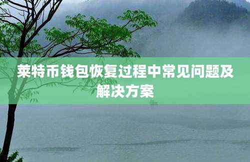 莱特币钱包恢复过程中常见问题及解决方案