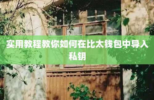 实用教程教你如何在比太钱包中导入私钥