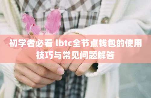 初学者必看 lbtc全节点钱包的使用技巧与常见问题解答