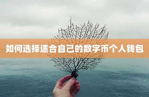 如何选择适合自己的数字币个人钱包