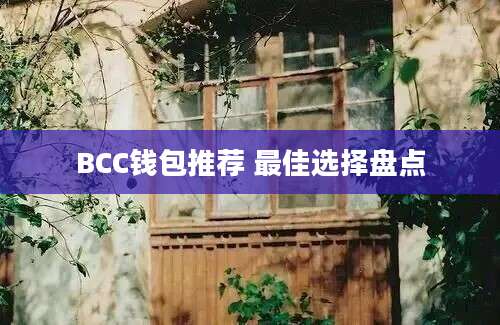 BCC钱包推荐 最佳选择盘点