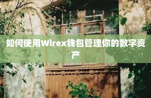 如何使用Wirex钱包管理你的数字资产