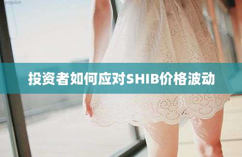 投资者如何应对SHIB价格波动