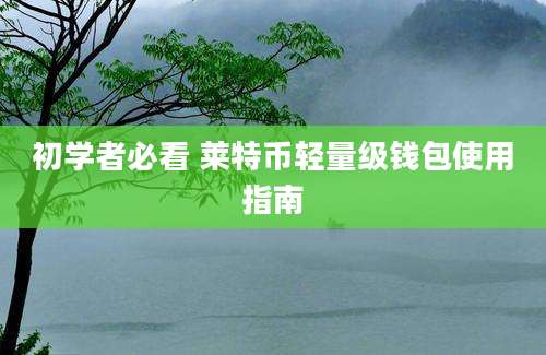 初学者必看 莱特币轻量级钱包使用指南