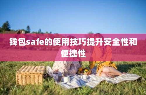 钱包safe的使用技巧提升安全性和便捷性