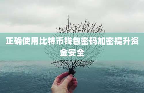 正确使用比特币钱包密码加密提升资金安全