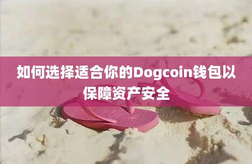 如何选择适合你的Dogcoin钱包以保障资产安全