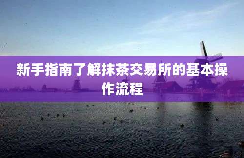 新手指南了解抹茶交易所的基本操作流程