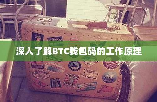 深入了解BTC钱包码的工作原理