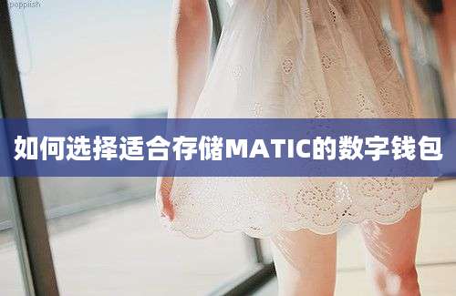 如何选择适合存储MATIC的数字钱包