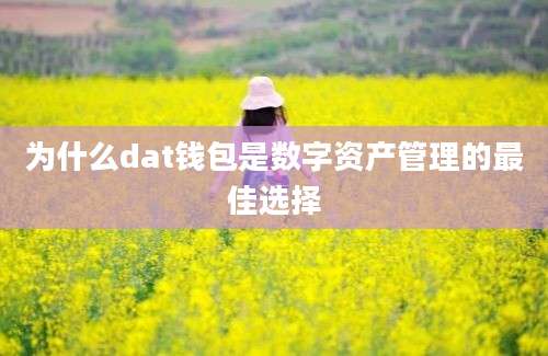 为什么dat钱包是数字资产管理的最佳选择