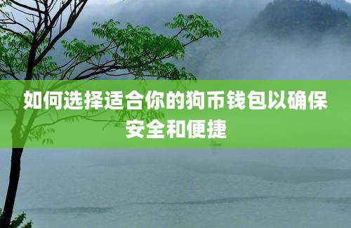 如何选择适合你的狗币钱包以确保安全和便捷