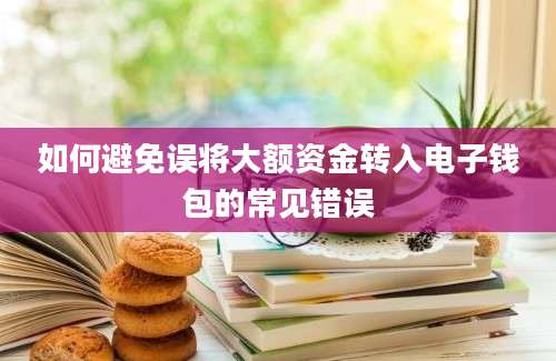 如何避免误将大额资金转入电子钱包的常见错误