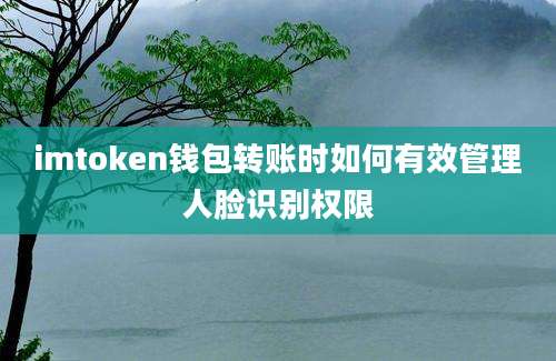 imtoken钱包转账时如何有效管理人脸识别权限