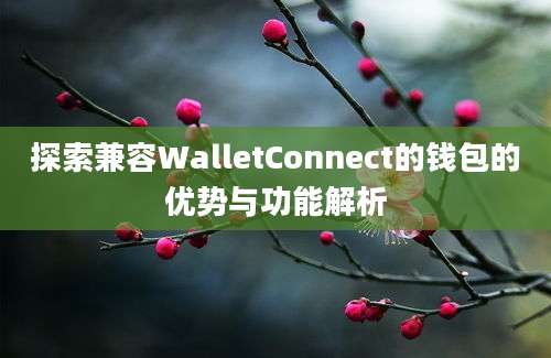 探索兼容WalletConnect的钱包的优势与功能解析