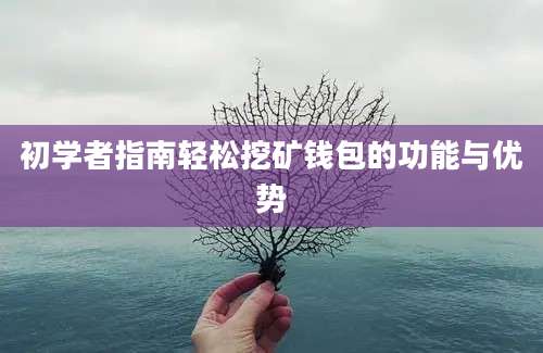 初学者指南轻松挖矿钱包的功能与优势