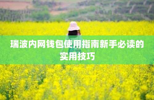 瑞波内网钱包使用指南新手必读的实用技巧