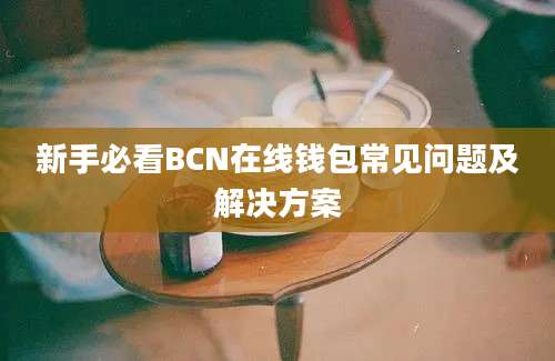 新手必看BCN在线钱包常见问题及解决方案