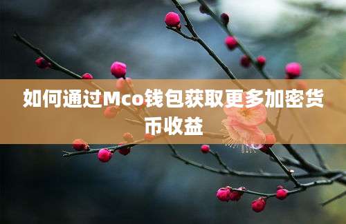 如何通过Mco钱包获取更多加密货币收益