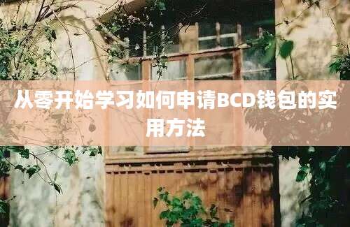 从零开始学习如何申请BCD钱包的实用方法