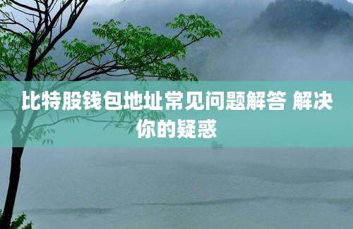 比特股钱包地址常见问题解答 解决你的疑惑