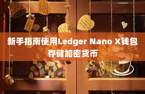 新手指南使用Ledger Nano X钱包存储加密货币