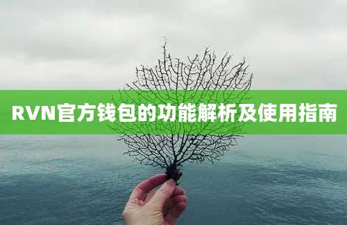 RVN官方钱包的功能解析及使用指南