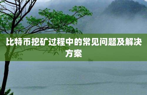 比特币挖矿过程中的常见问题及解决方案