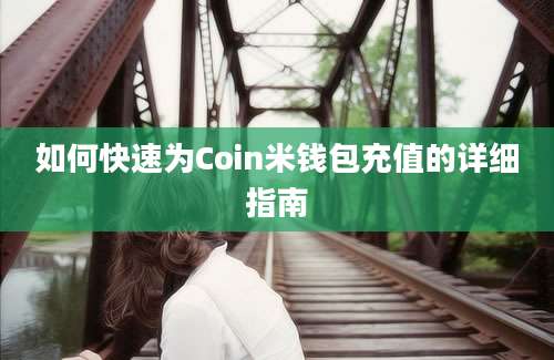 如何快速为Coin米钱包充值的详细指南