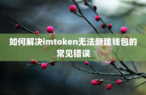 如何解决imtoken无法新建钱包的常见错误