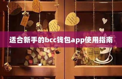 适合新手的bcc钱包app使用指南