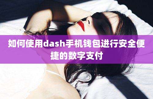 如何使用dash手机钱包进行安全便捷的数字支付