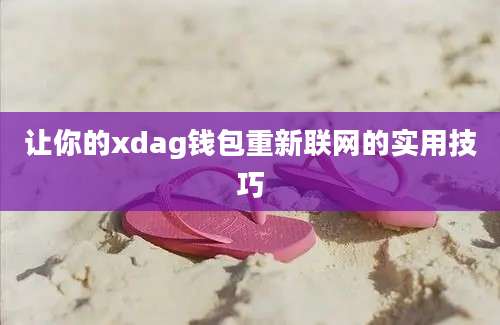 让你的xdag钱包重新联网的实用技巧