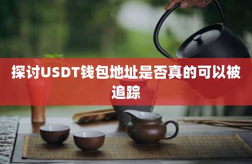 探讨USDT钱包地址是否真的可以被追踪