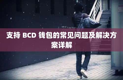 支持 BCD 钱包的常见问题及解决方案详解