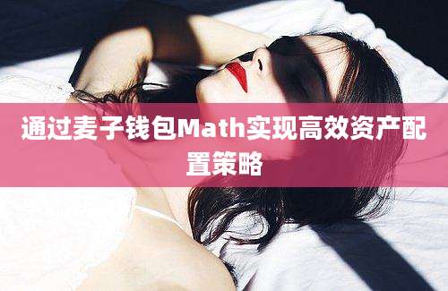 通过麦子钱包Math实现高效资产配置策略