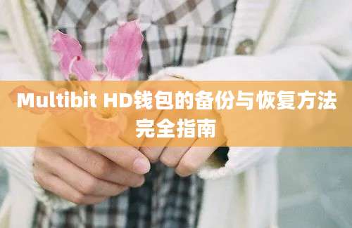 Multibit HD钱包的备份与恢复方法完全指南