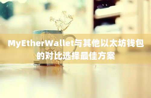 MyEtherWallet与其他以太坊钱包的对比选择最佳方案