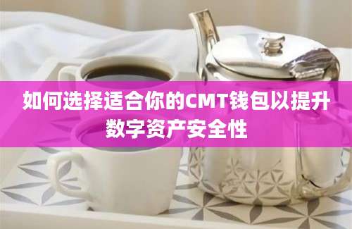 如何选择适合你的CMT钱包以提升数字资产安全性