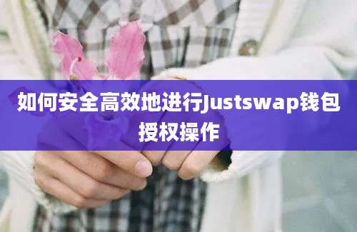 如何安全高效地进行Justswap钱包授权操作