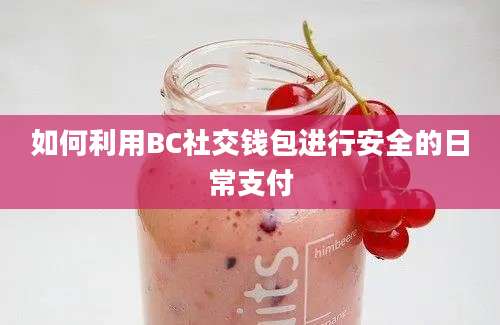 如何利用BC社交钱包进行安全的日常支付