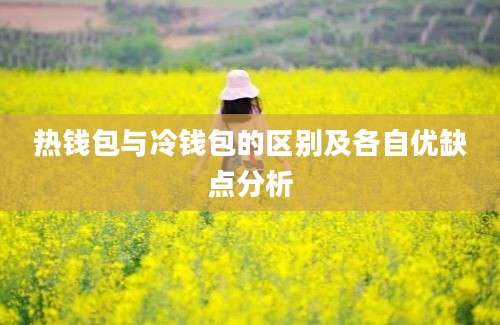 热钱包与冷钱包的区别及各自优缺点分析