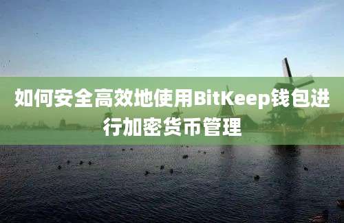 如何安全高效地使用BitKeep钱包进行加密货币管理