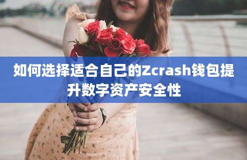 如何选择适合自己的Zcrash钱包提升数字资产安全性